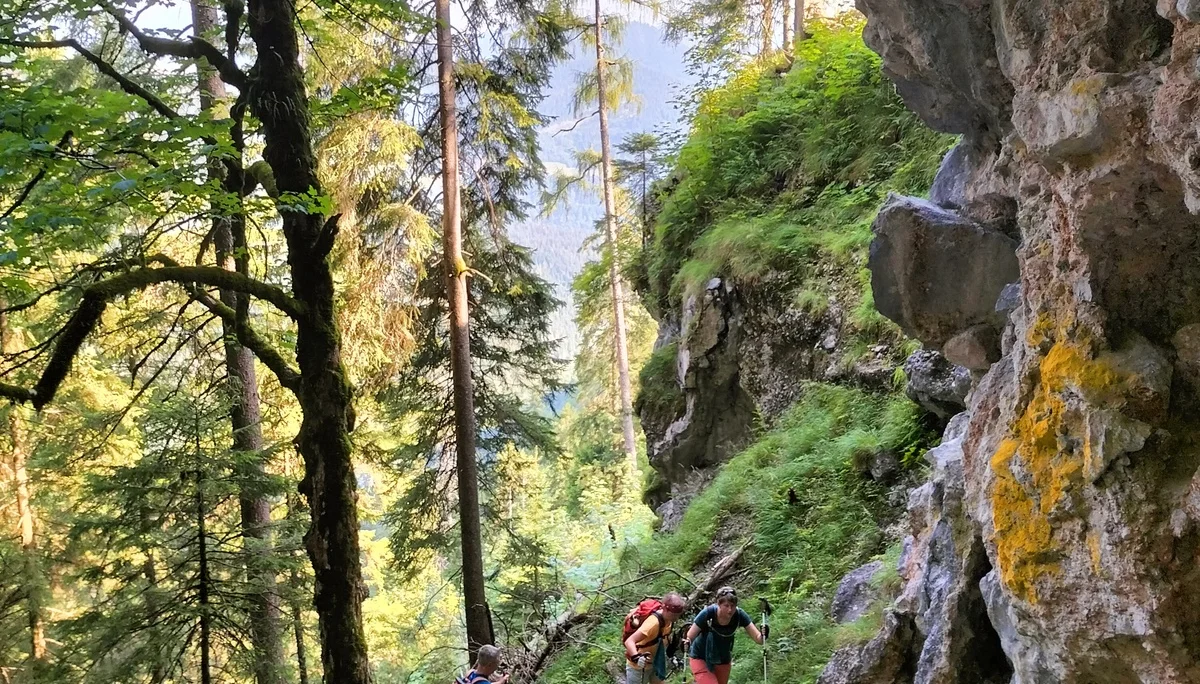 Gugel | © DAV Laufen