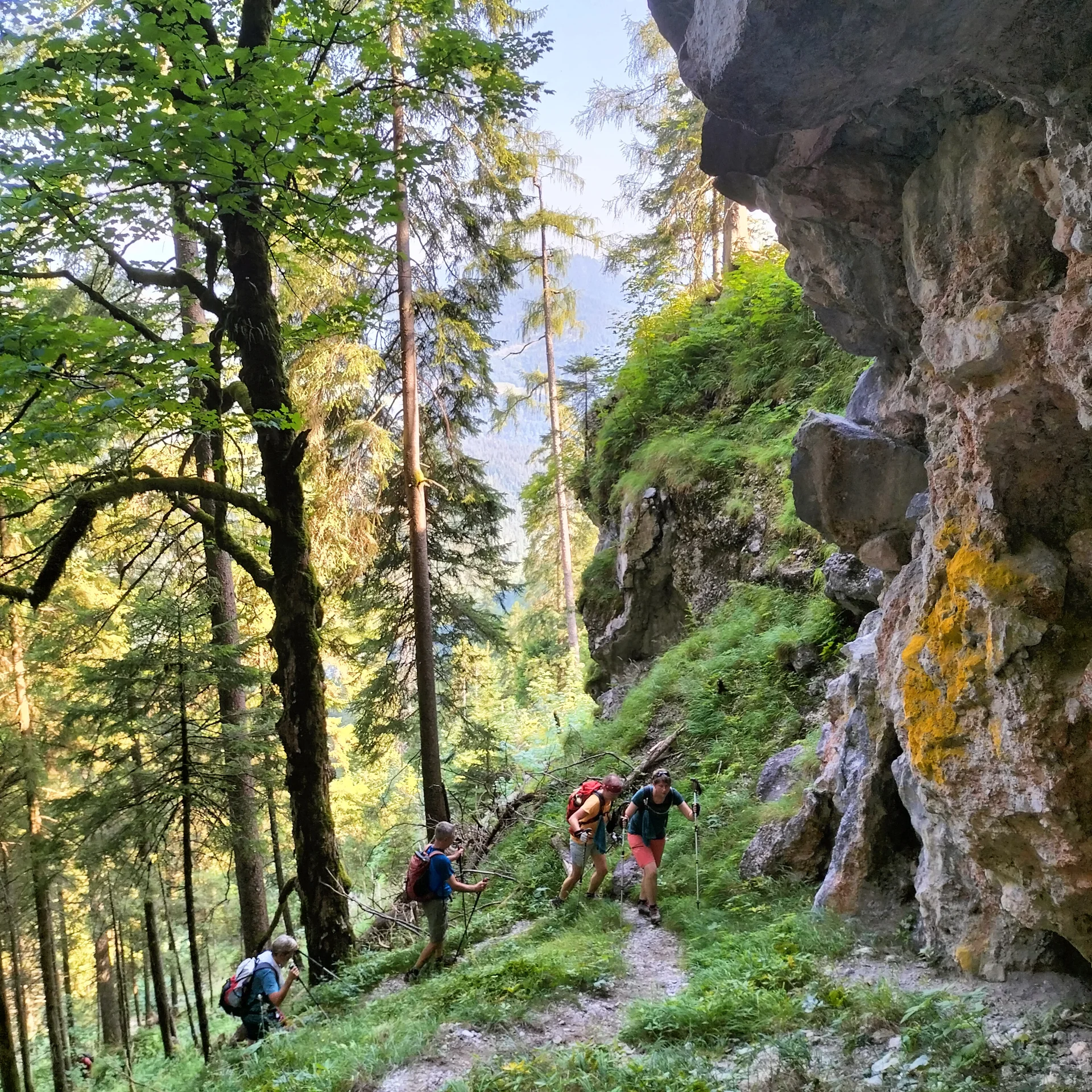 Gugel | © DAV Laufen