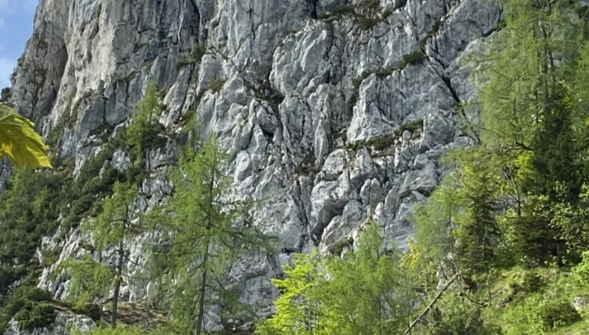 Hörndlwand | © DAV Laufen
