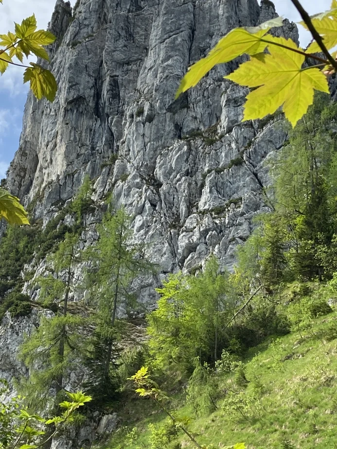 Hörndlwand | © DAV Laufen