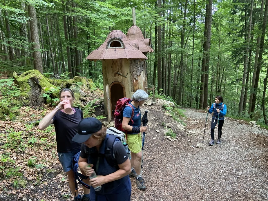 Hörndlwand | © DAV Laufen