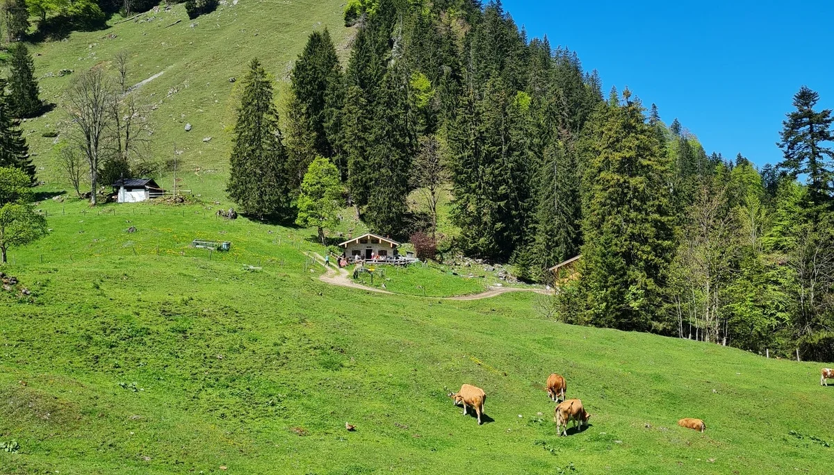 Muttertagstour | © DAV Laufen