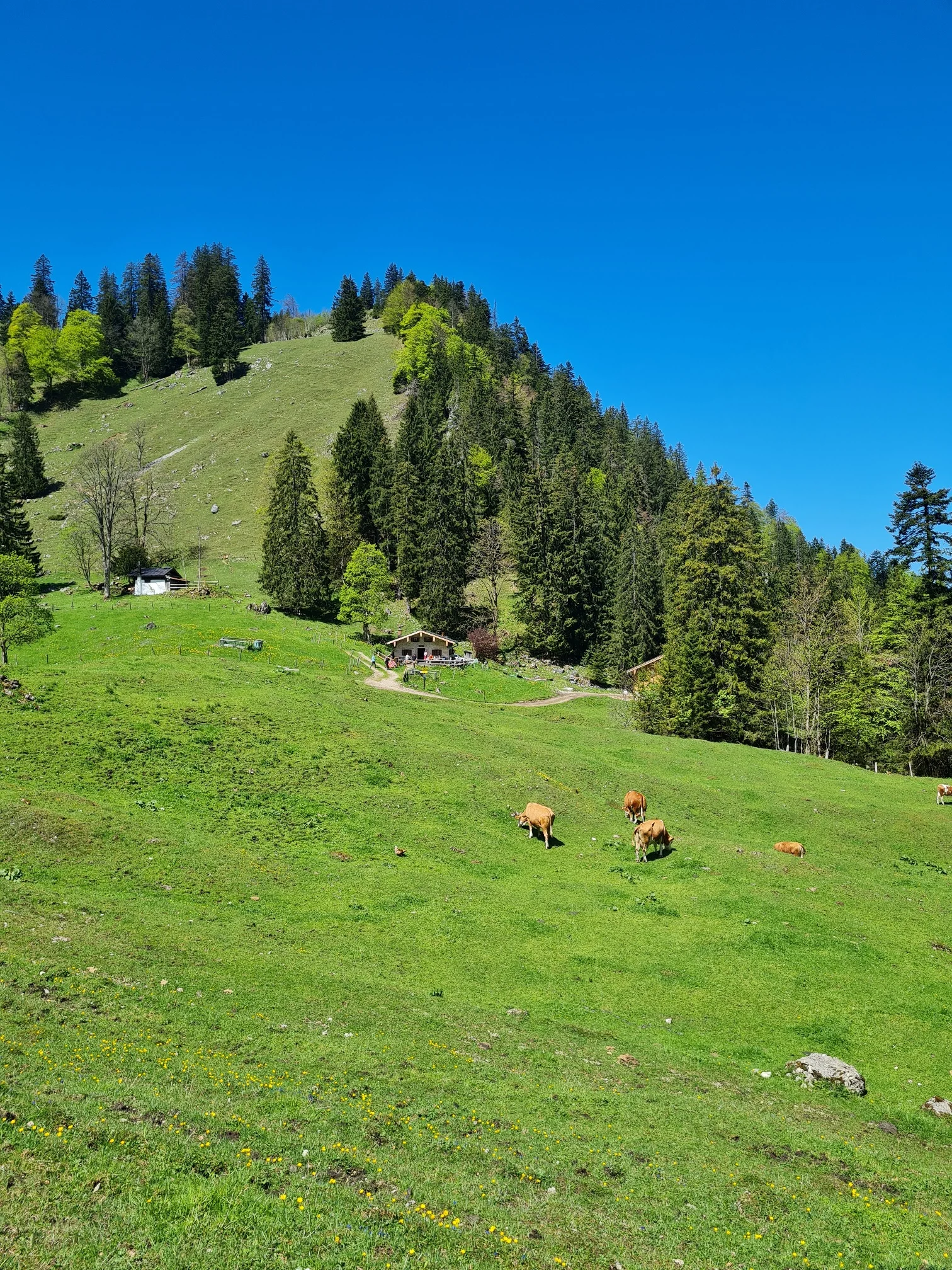 Muttertagstour | © DAV Laufen