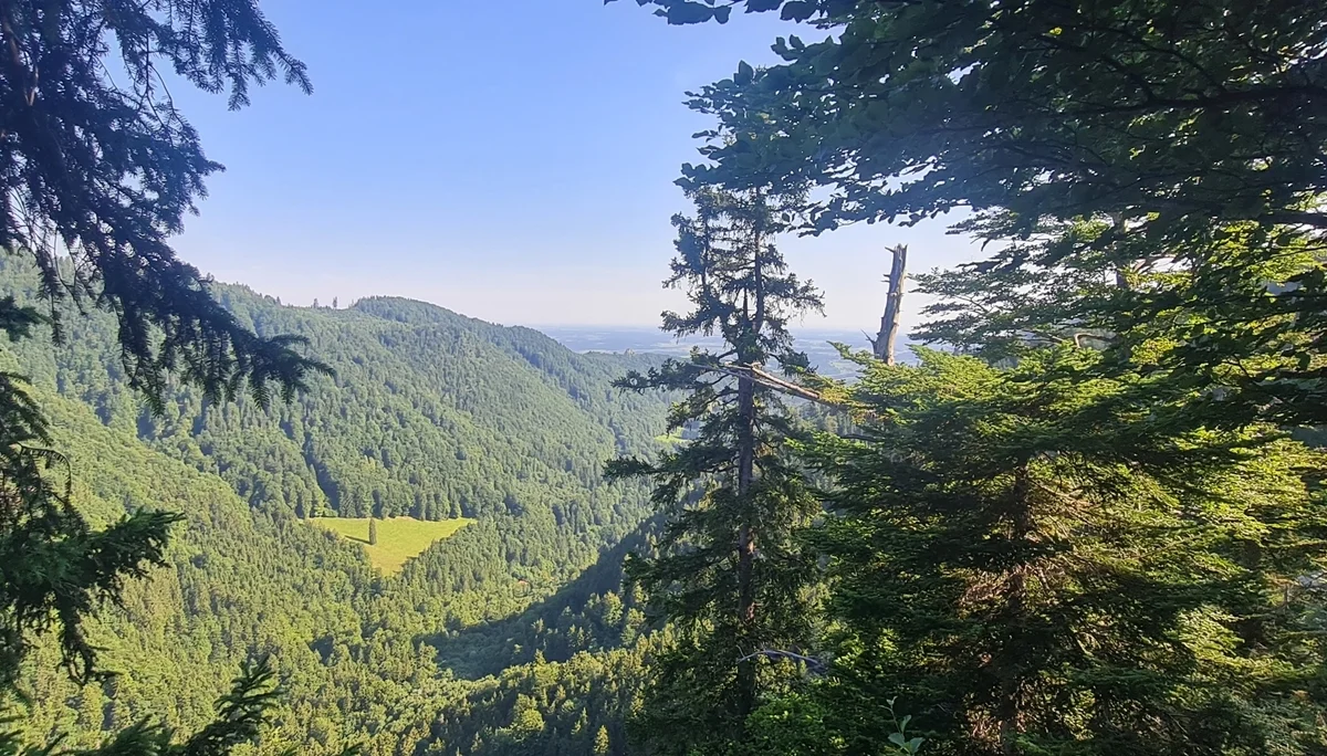 Rötlwandkopf | © DAV Laufen