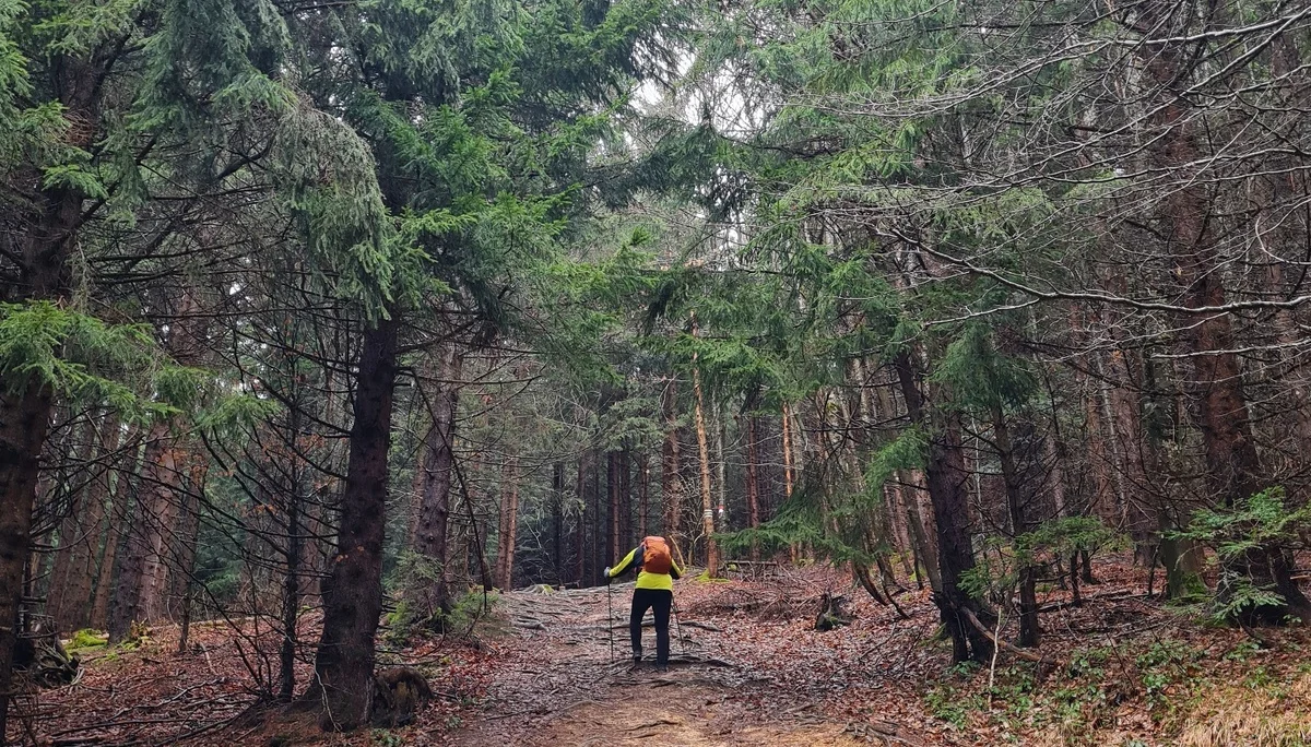 Teisenberg | © DAV Laufen