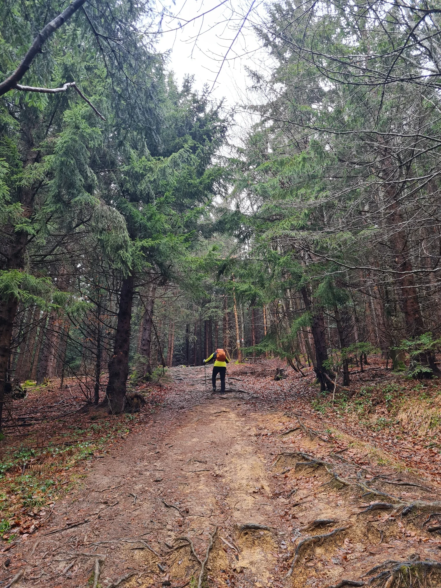 Teisenberg | © DAV Laufen