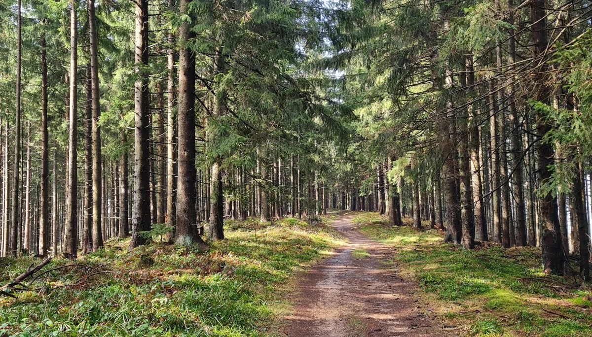 Teisenberg | © DAV Laufen