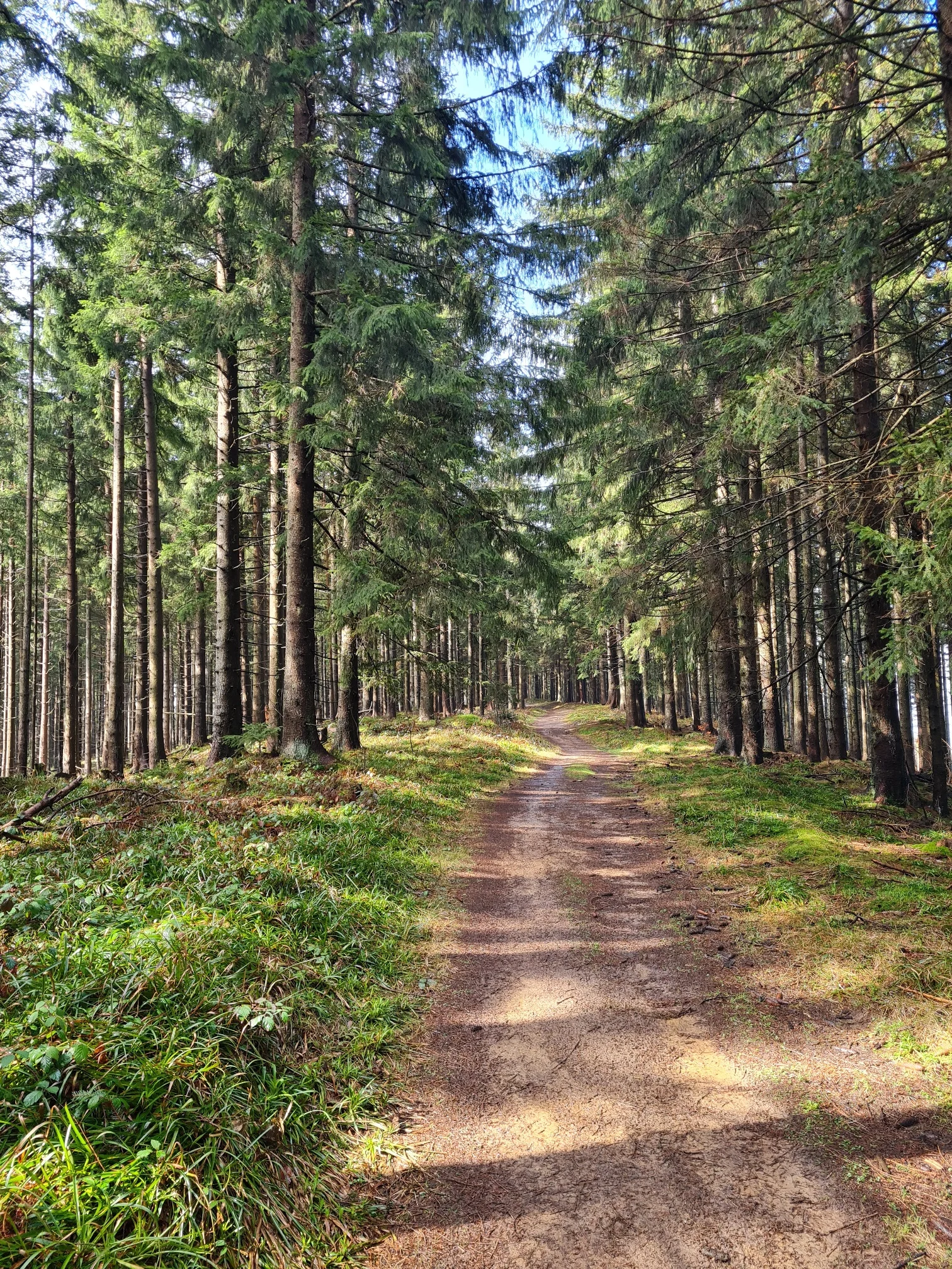 Teisenberg | © DAV Laufen