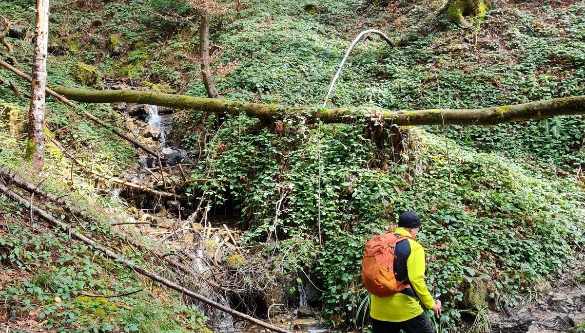 Teisenberg | © DAV Laufen