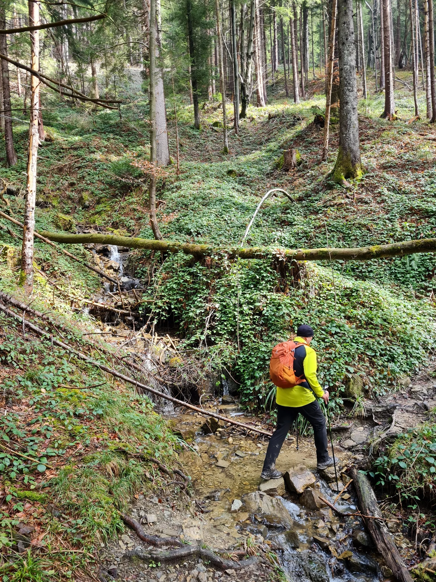 Teisenberg | © DAV Laufen