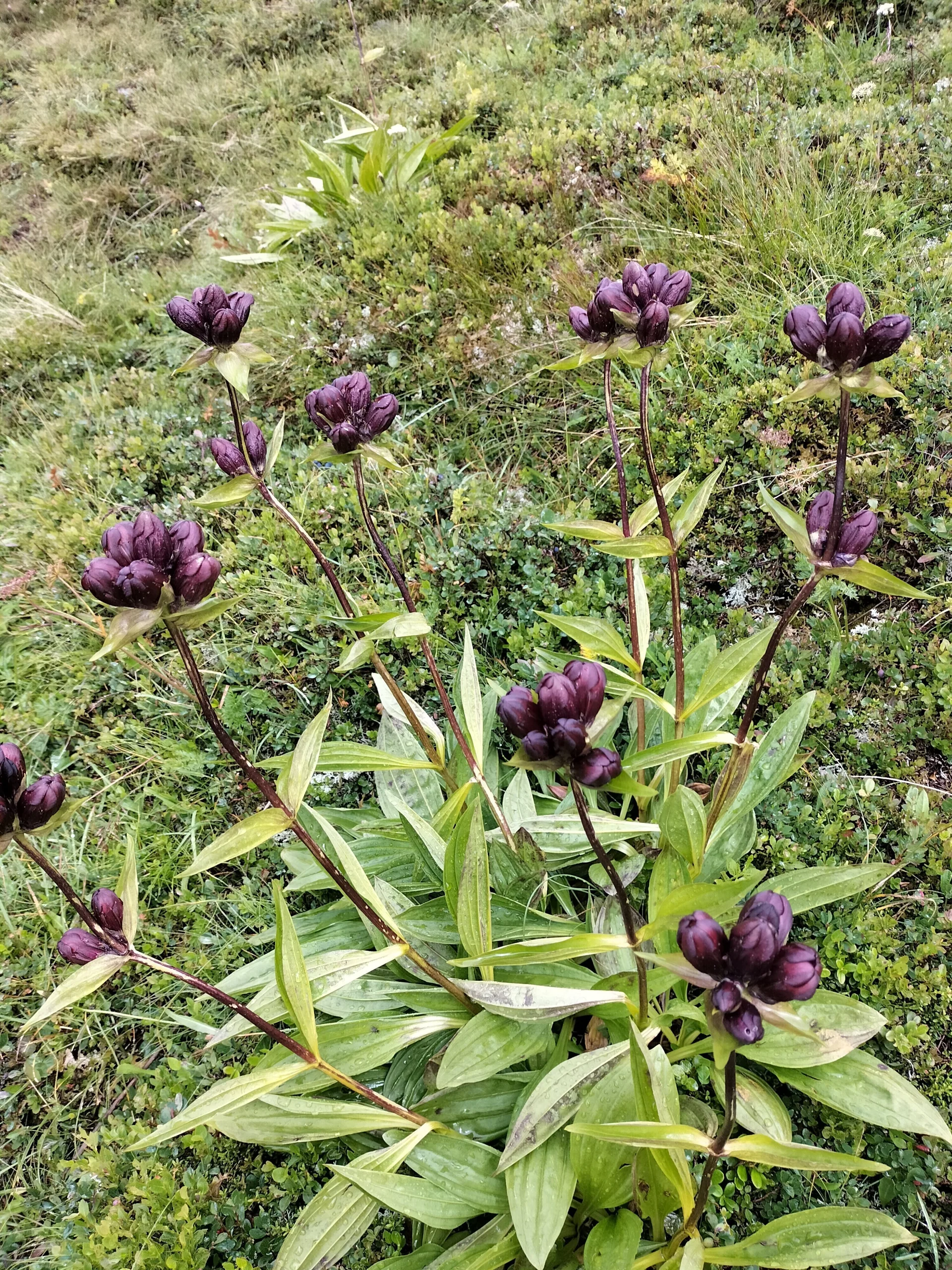 Verwall | © DAV Laufen