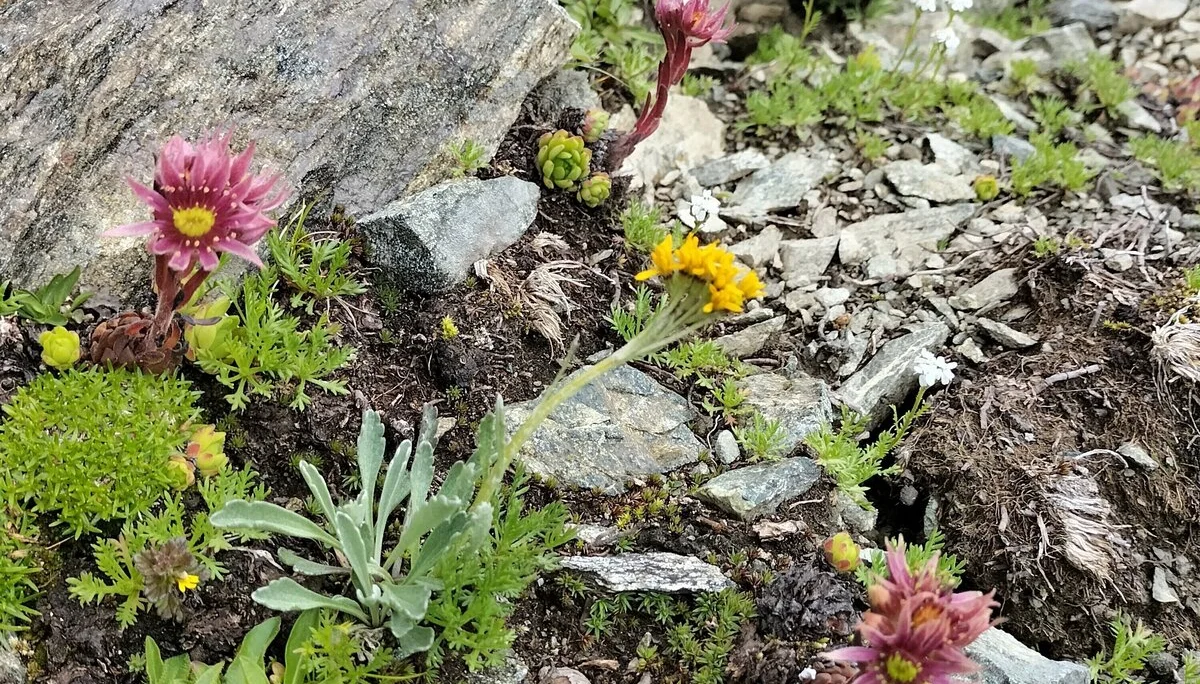 Verwall | © DAV Laufen