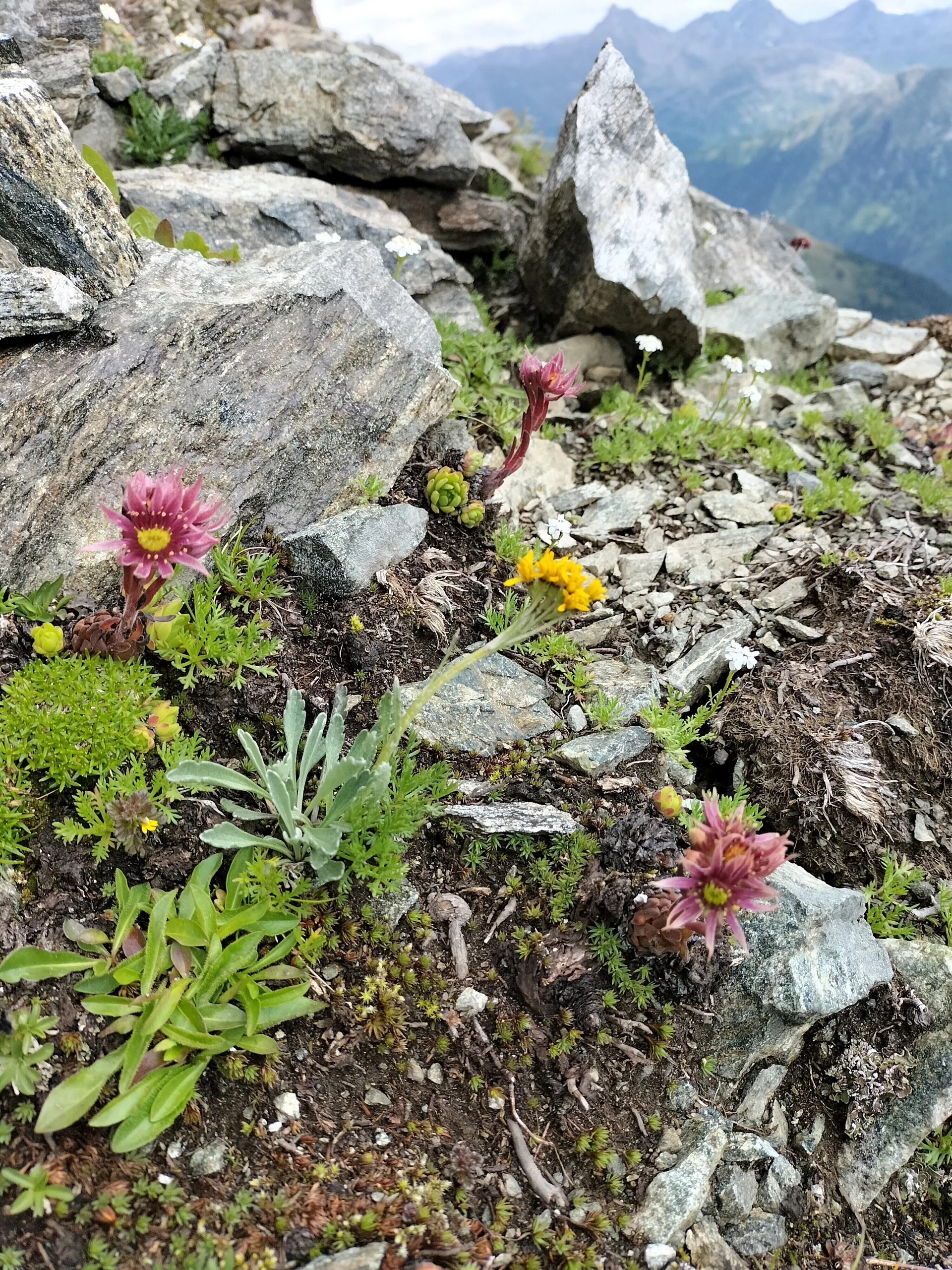 Verwall | © DAV Laufen