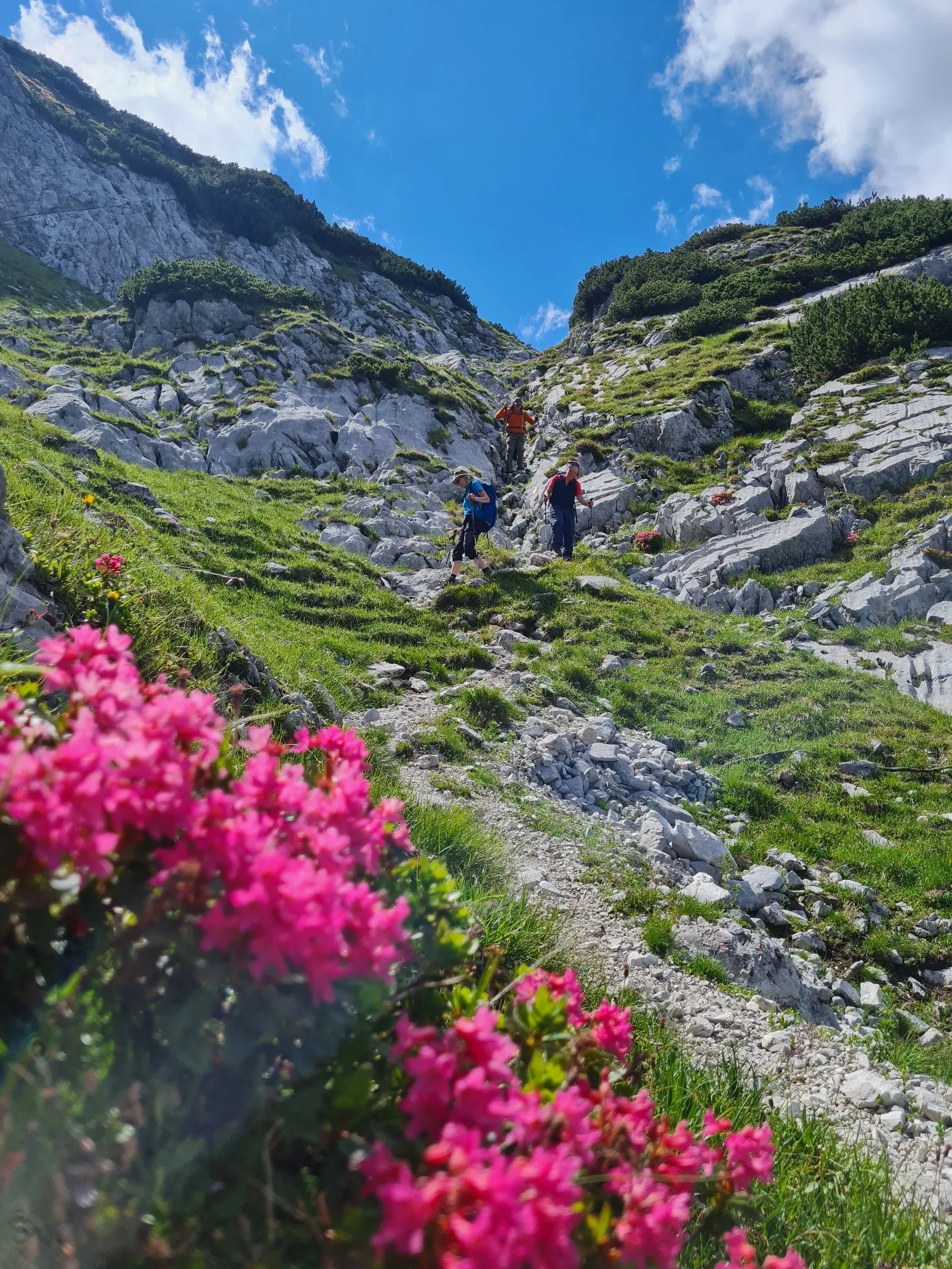 Freitagsgruppe_Laufener | © DAV Laufen