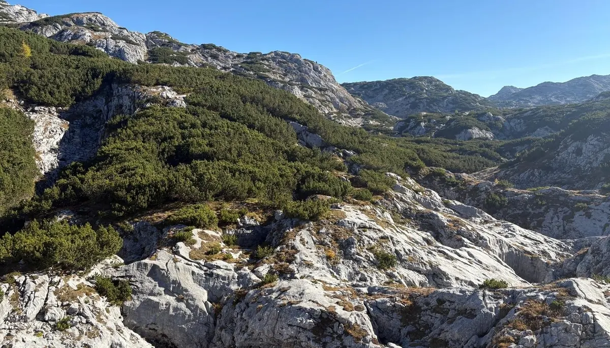 Hanauerlabl | © DAV Laufen