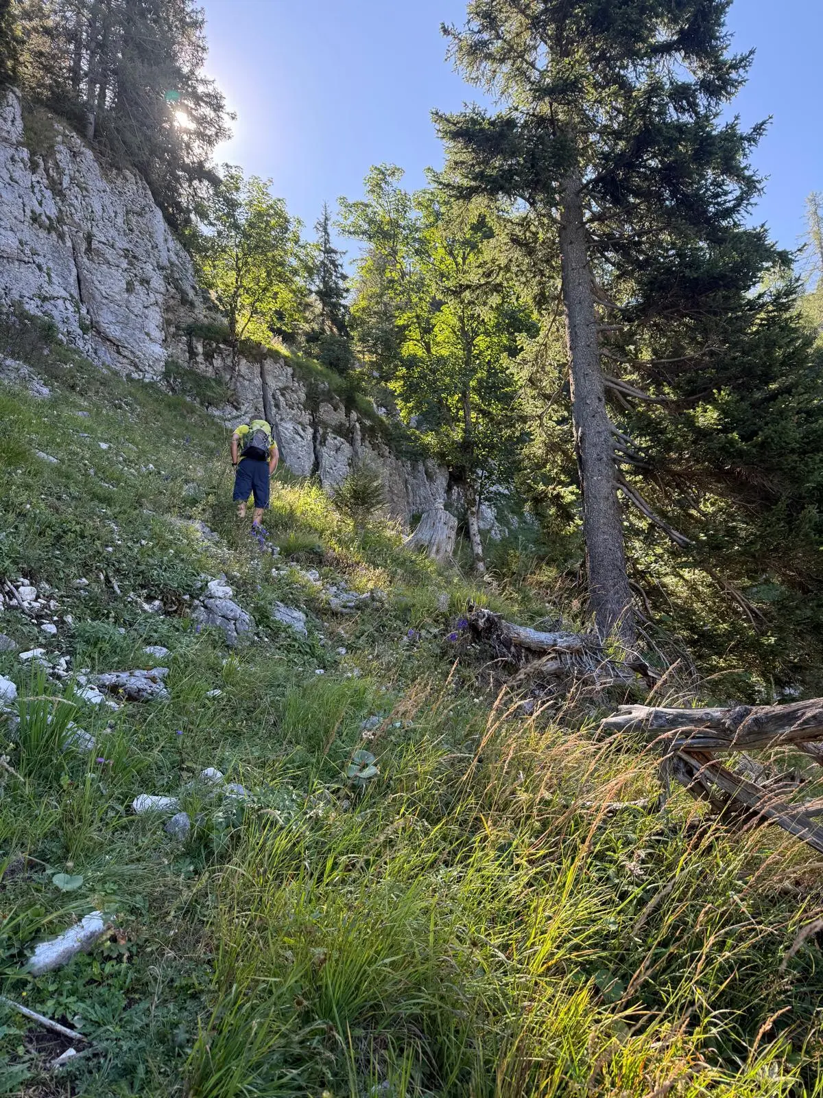 Klingeralm | © DAV Laufen