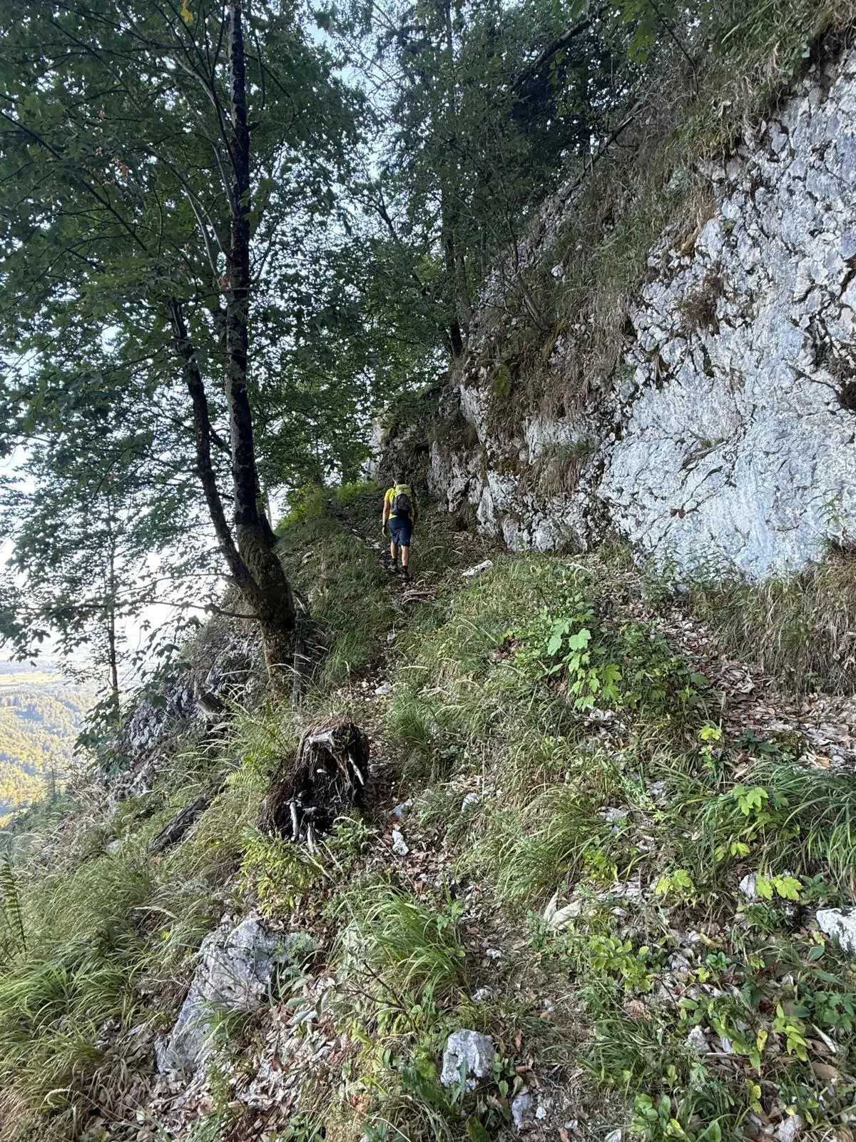 Klingeralm | © DAV Laufen