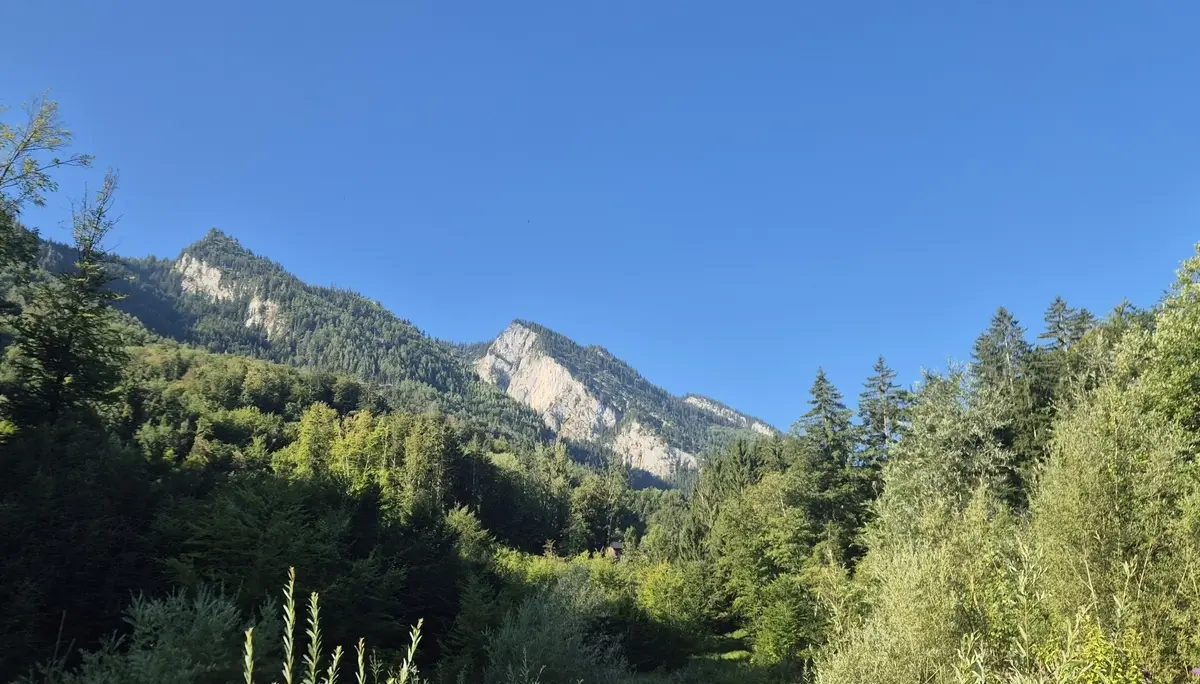 Klingeralm | © DAV Laufen