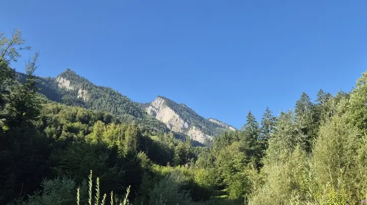 Klingeralm | © DAV Laufen
