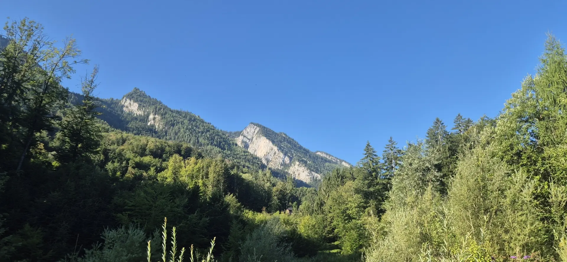 Klingeralm | © DAV Laufen