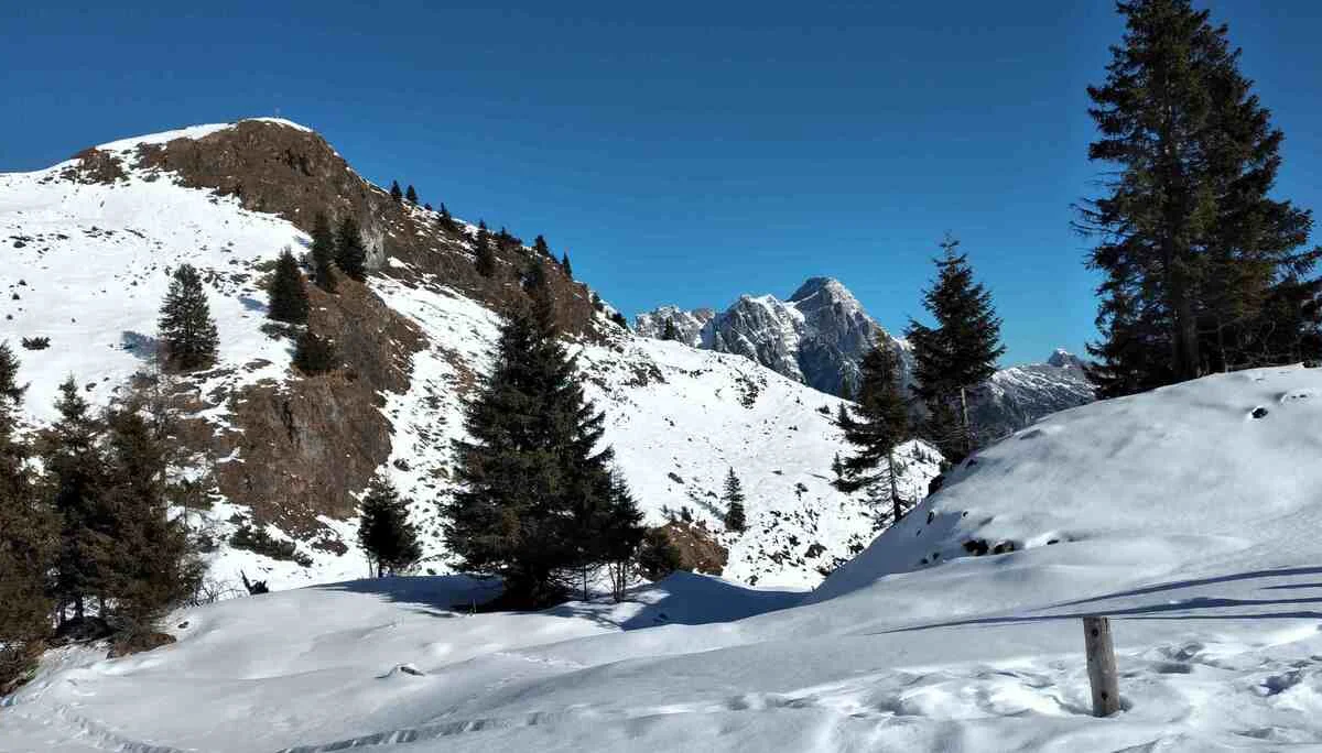 Sonnkogel | © DAV Laufen