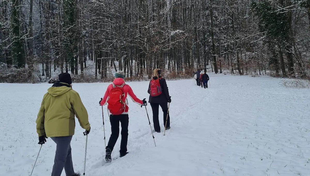Wiederkehrende Walking Haunsbergrunde | © DAV Laufen