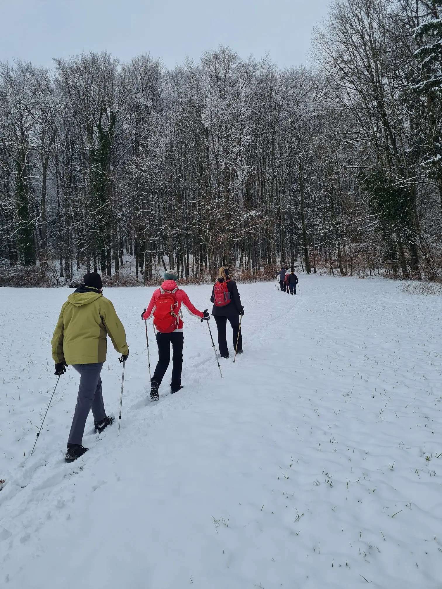 Wiederkehrende Walking Haunsbergrunde | © DAV Laufen