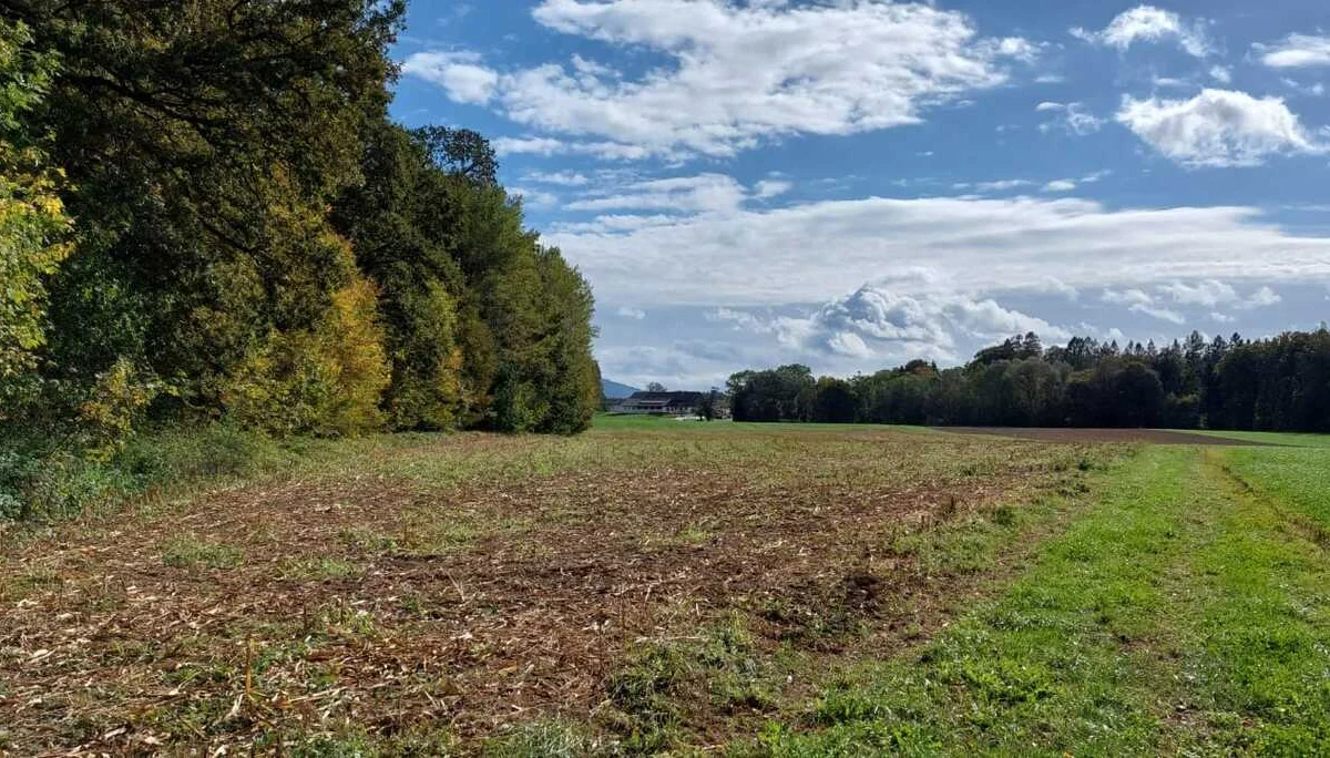 Auf Kapellen- und Marterlsuche im Laufener Gebiet | © DAV Laufen
