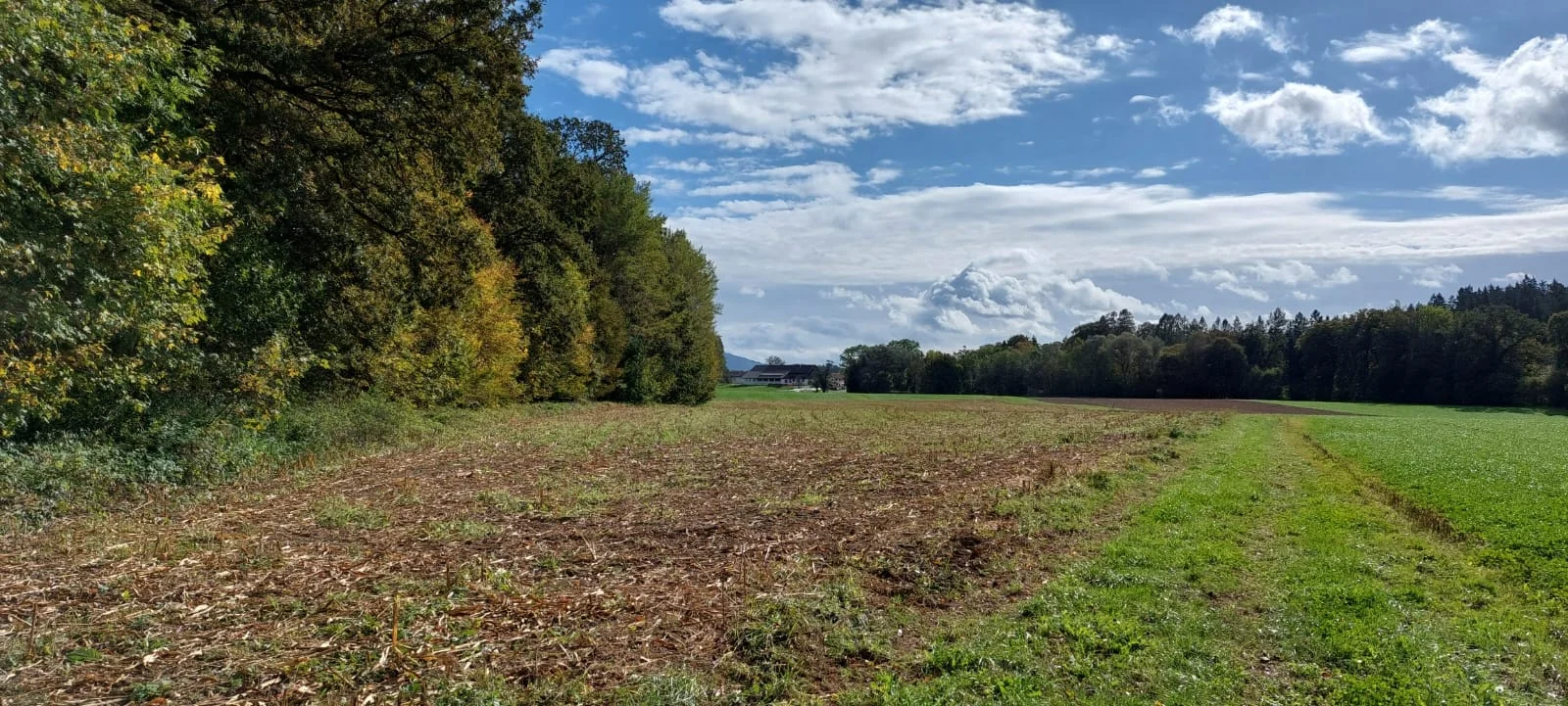 Auf Kapellen- und Marterlsuche im Laufener Gebiet | © DAV Laufen