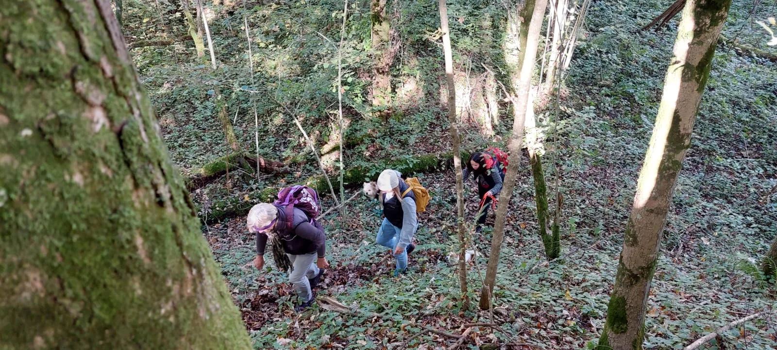 Auf Kapellen- und Marterlsuche im Laufener Gebiet | © DAV Laufen
