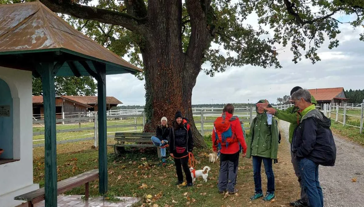 Auf Kapellen- und Marterlsuche im Laufener Gebiet | © DAV Laufen