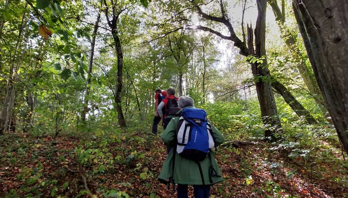 Auf Kapellen- und Marterlsuche im Laufener Gebiet | © DAV Laufen