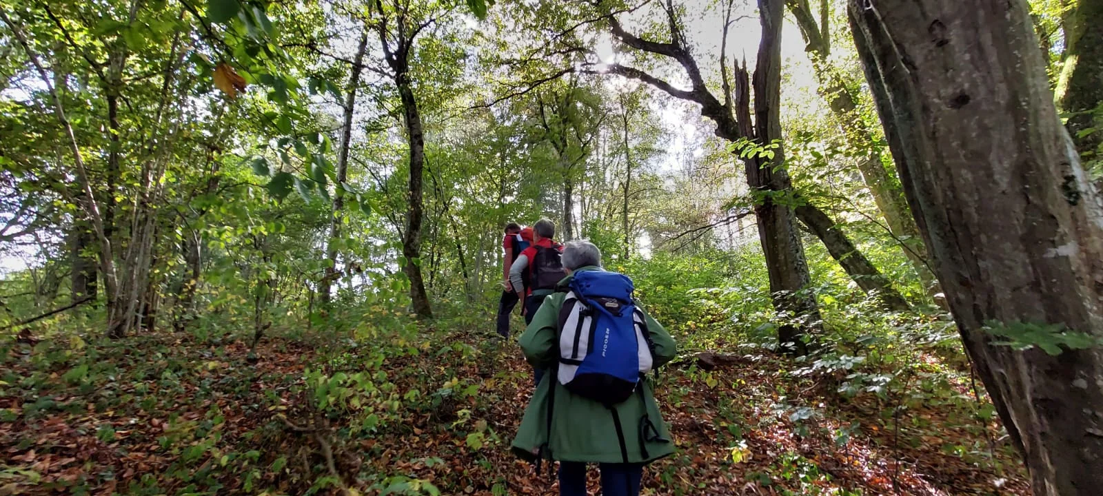 Auf Kapellen- und Marterlsuche im Laufener Gebiet | © DAV Laufen