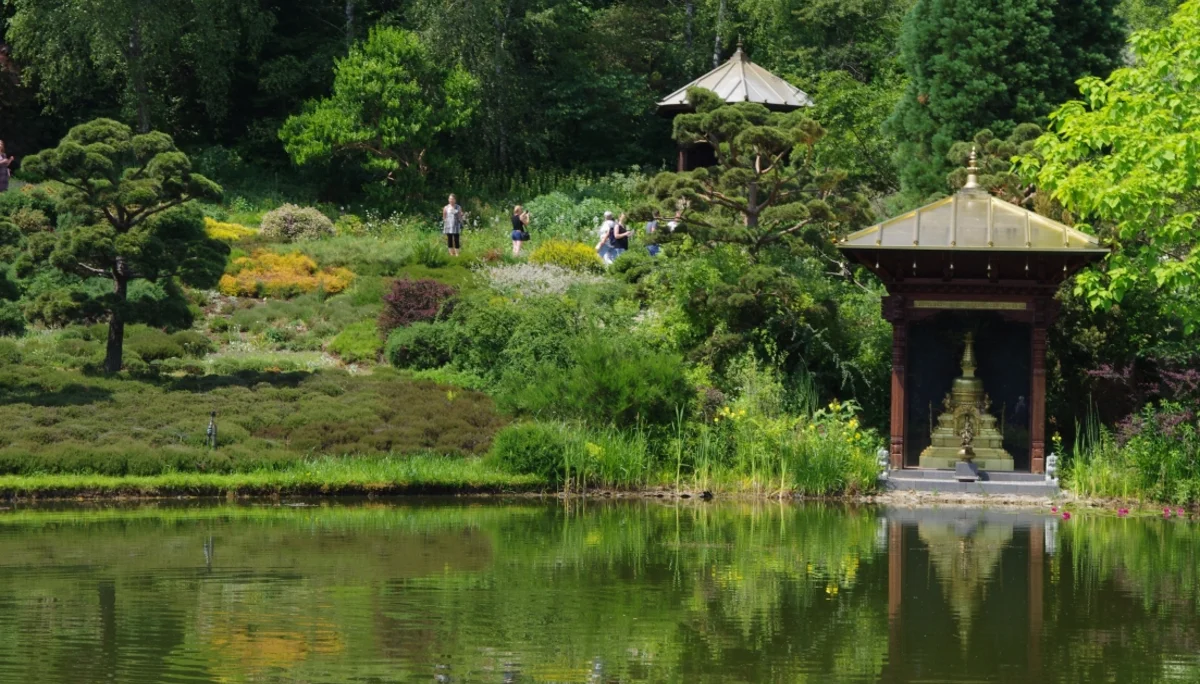 Nepal-Himalaya-Garten bei Wiesent | © DAV Laufen