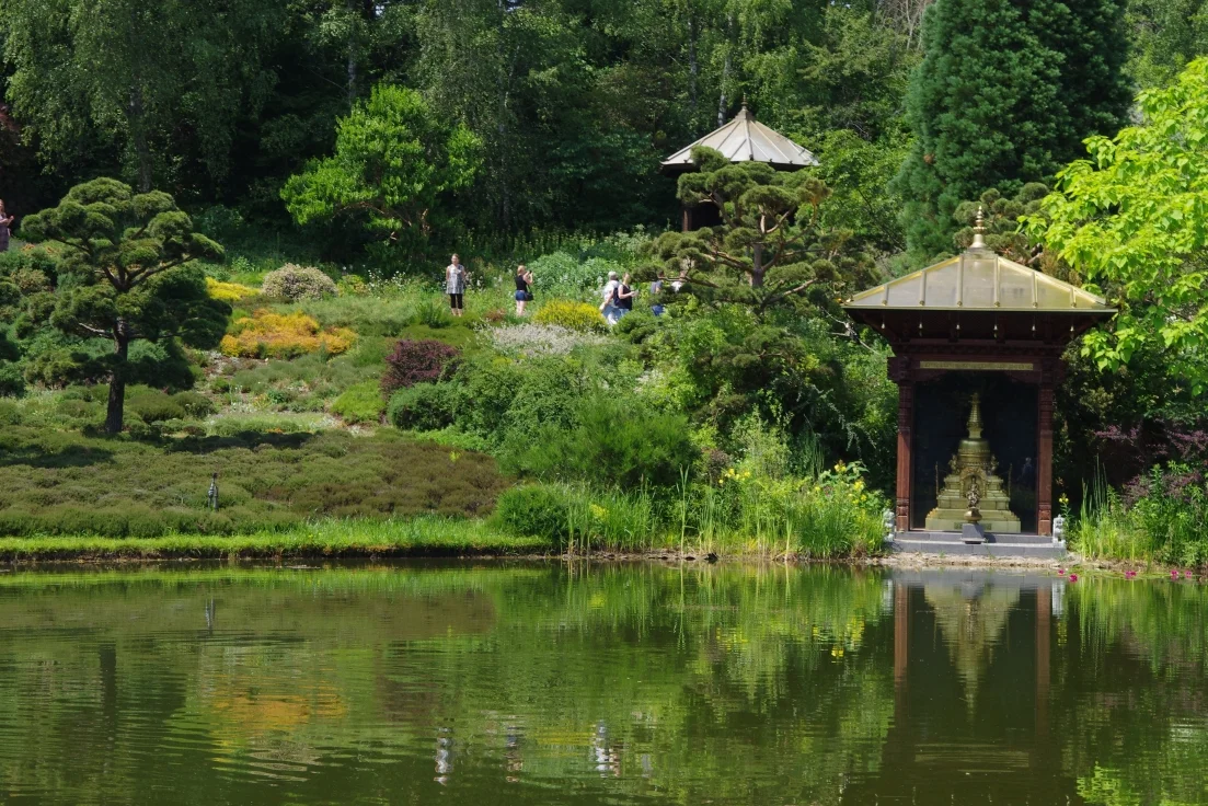 Nepal-Himalaya-Garten bei Wiesent | © DAV Laufen