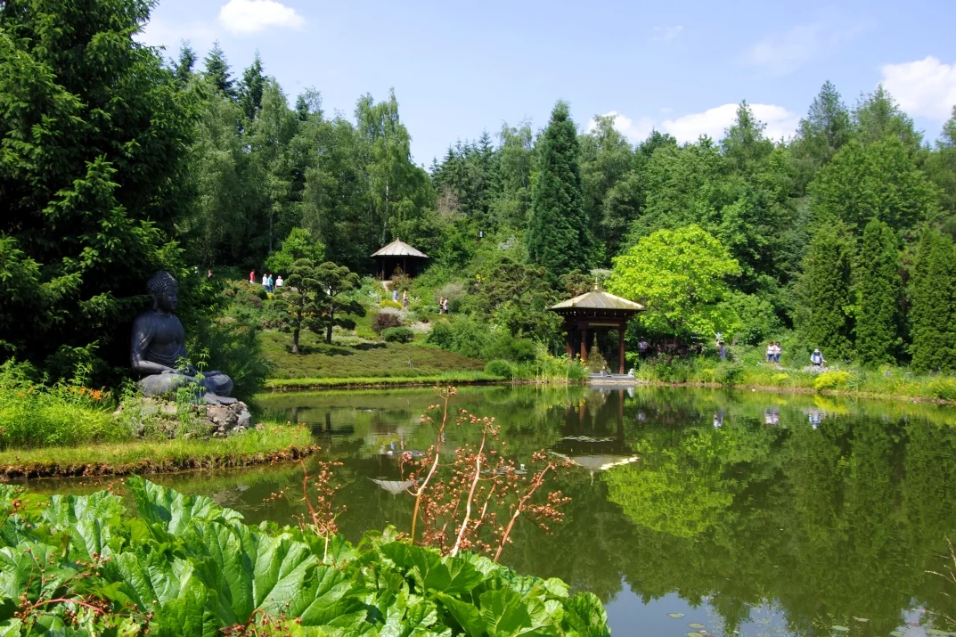 Nepal-Himalaya-Garten bei Wiesent | © DAV Laufen