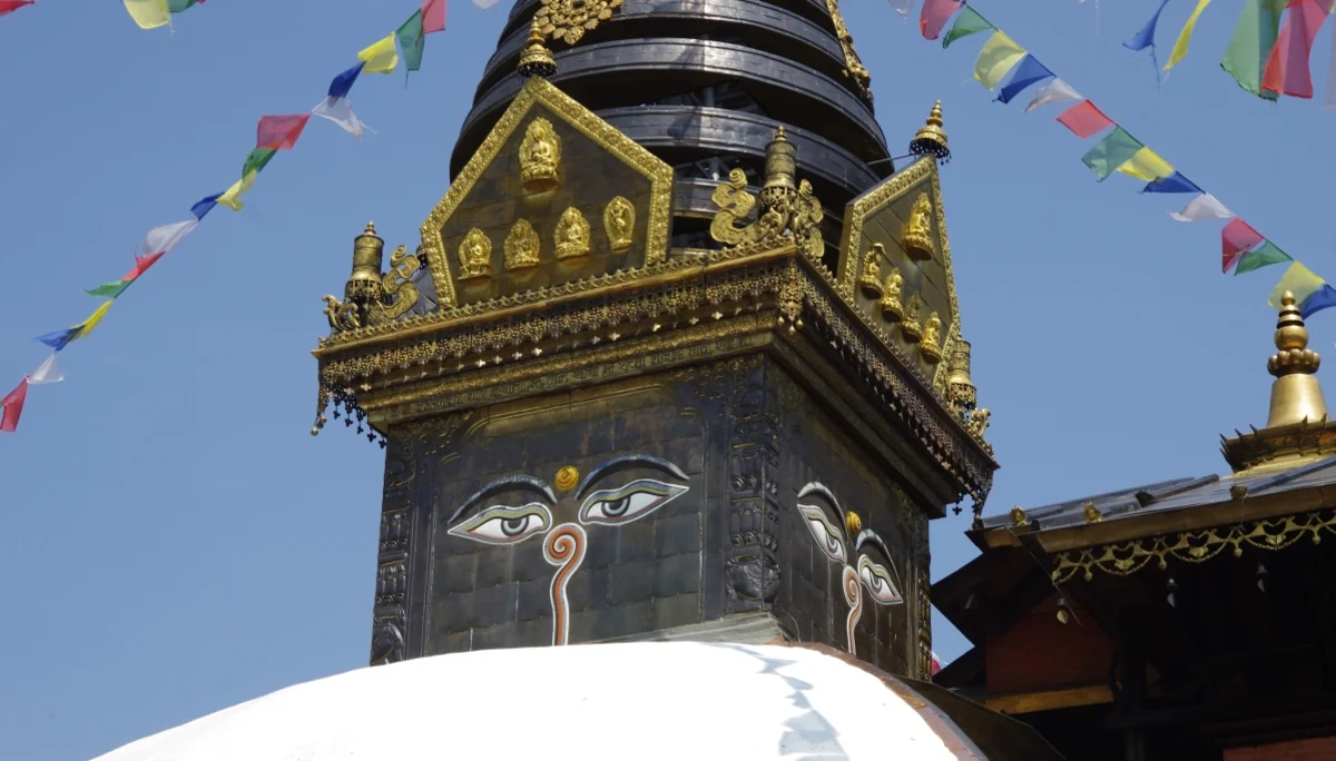 Nepal-Himalaya-Garten bei Wiesent | © DAV Laufen