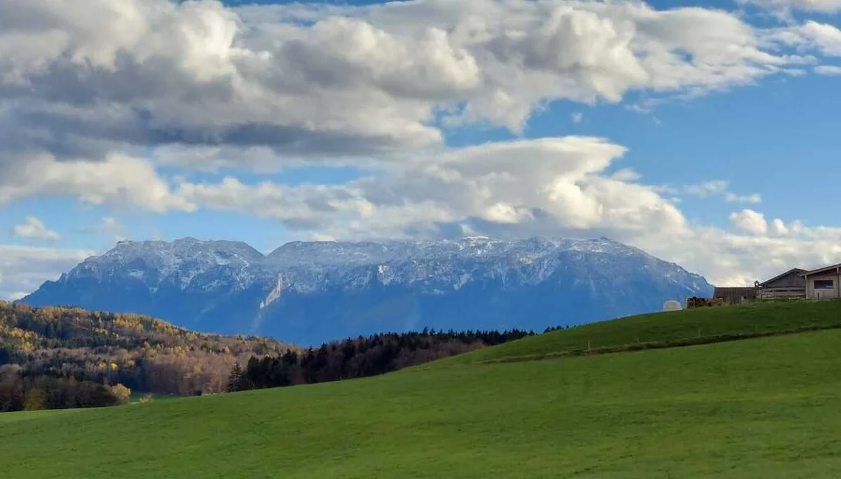 Durch Wald und Wiese von Höglwörth nach Teisendorf und retour | © DAV Laufen
