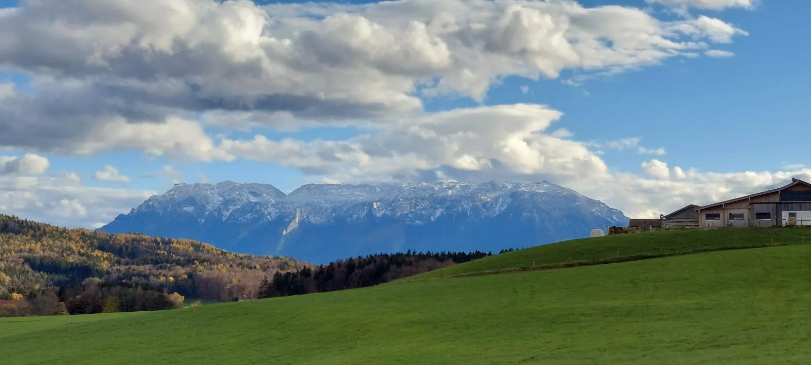Durch Wald und Wiese von Höglwörth nach Teisendorf und retour | © DAV Laufen