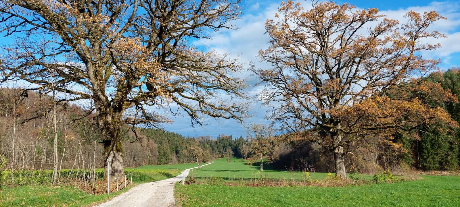 Durch Wald und Wiese von Höglwörth nach Teisendorf und retour | © DAV Laufen