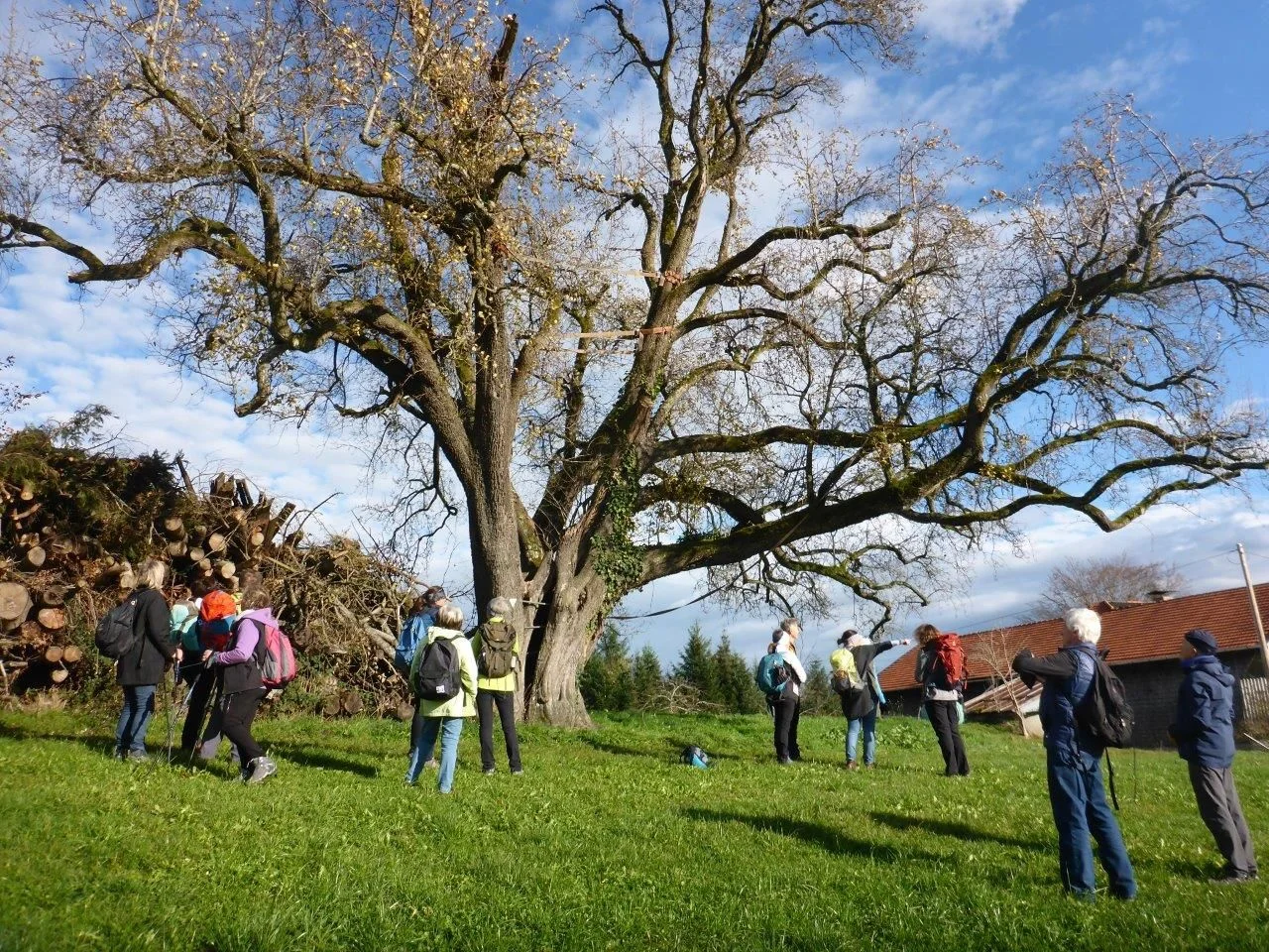 Durch Wald und Wiese von Höglwörth nach Teisendorf und retour | © DAV Laufen