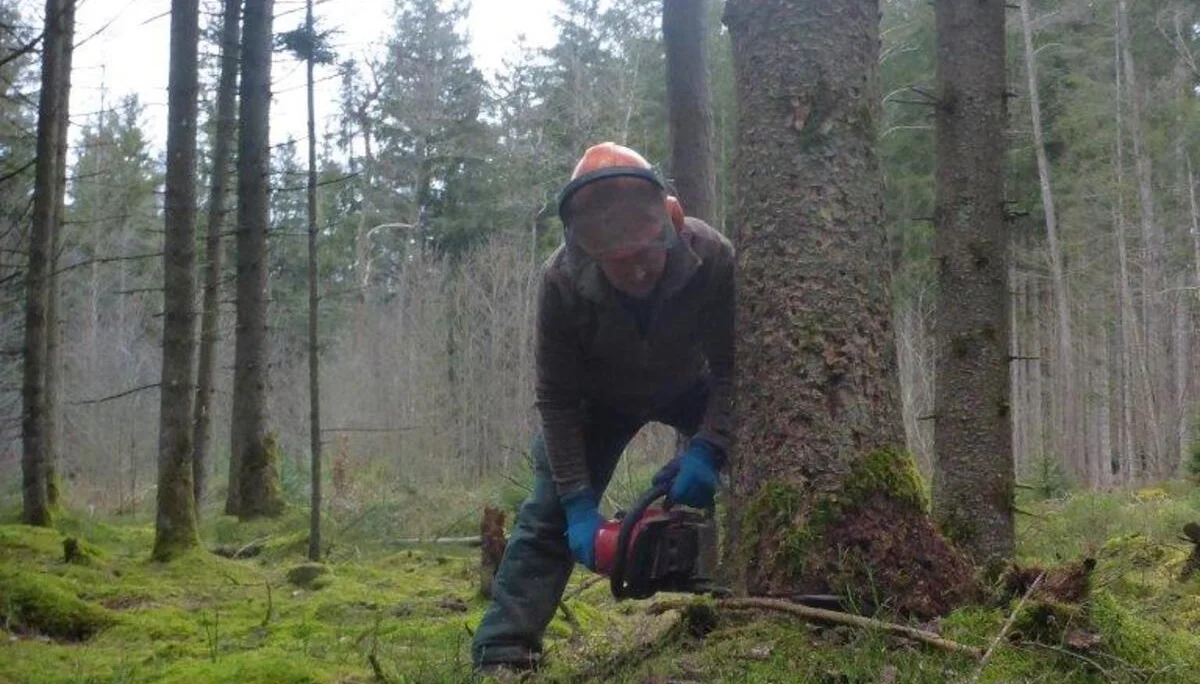 Holzmachen beim Toni in der Lebenau für die Laufener Hüttn | © DAV Laufen