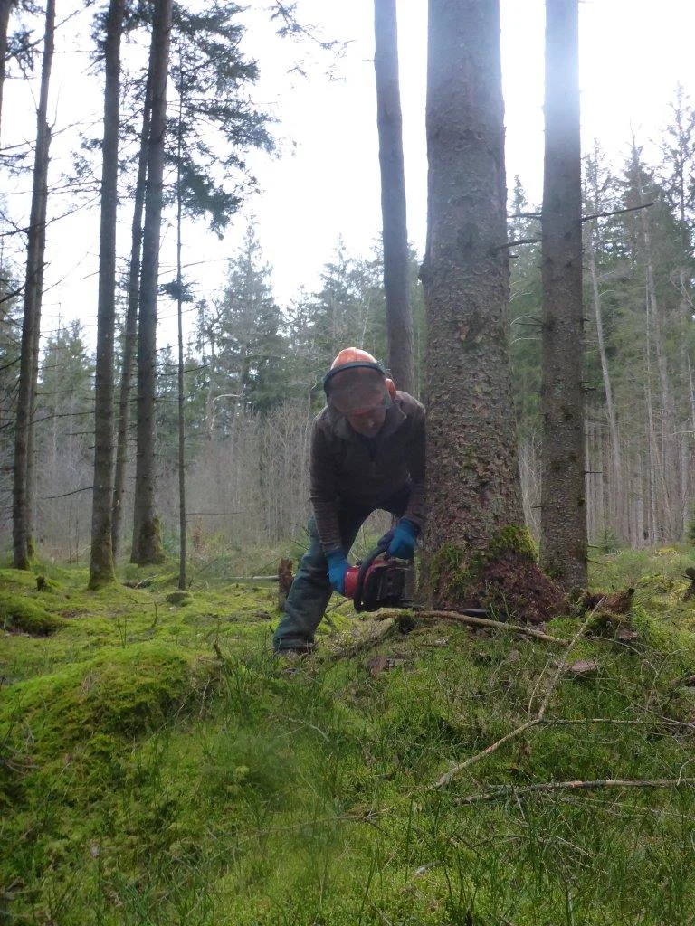 Holzmachen beim Toni in der Lebenau für die Laufener Hüttn | © DAV Laufen