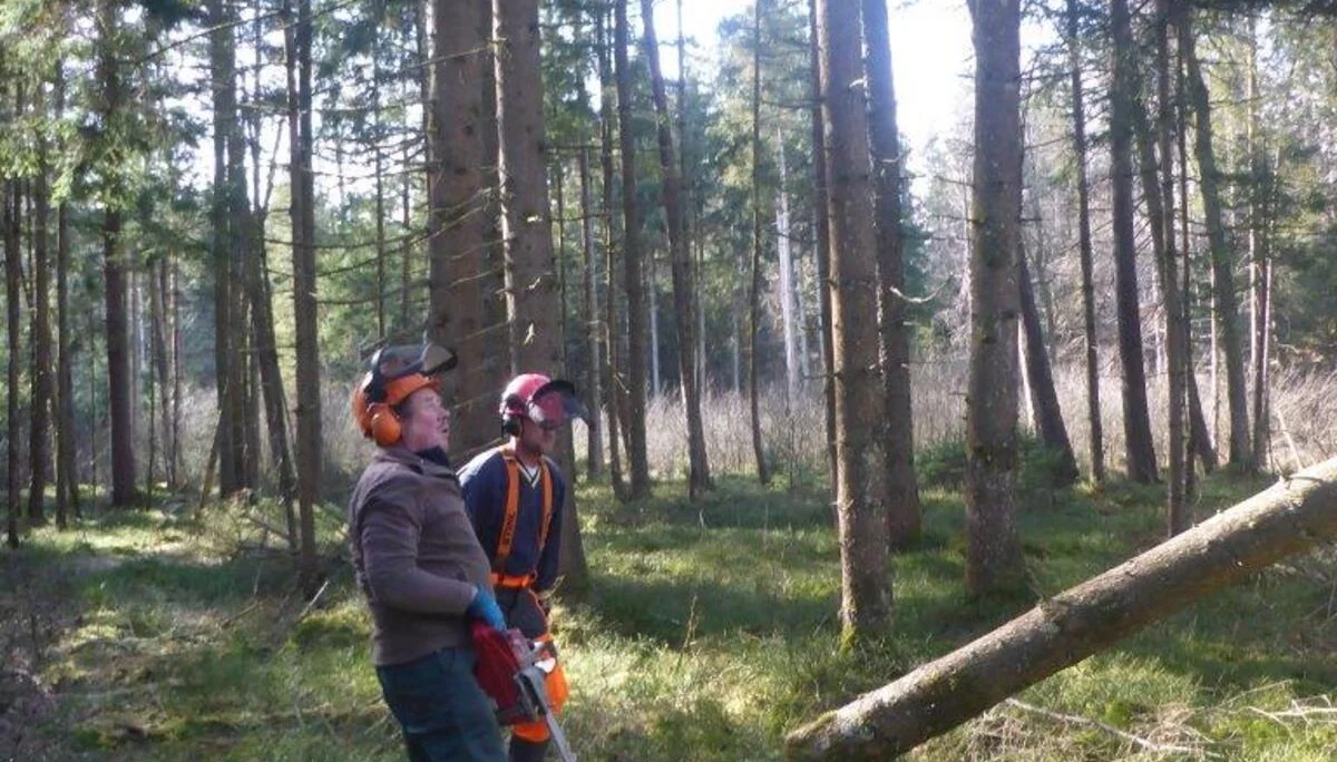 Holzmachen beim Toni in der Lebenau für die Laufener Hüttn | © DAV Laufen