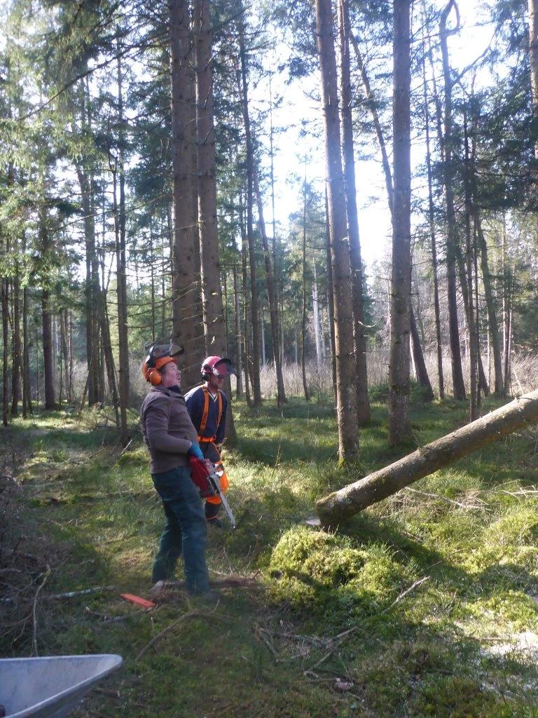 Holzmachen beim Toni in der Lebenau für die Laufener Hüttn | © DAV Laufen