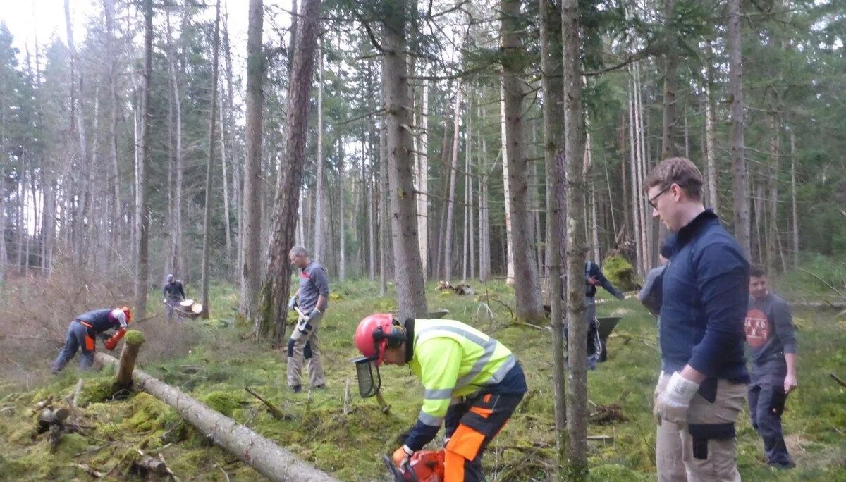 Holzmachen beim Toni in der Lebenau für die Laufener Hüttn | © DAV Laufen