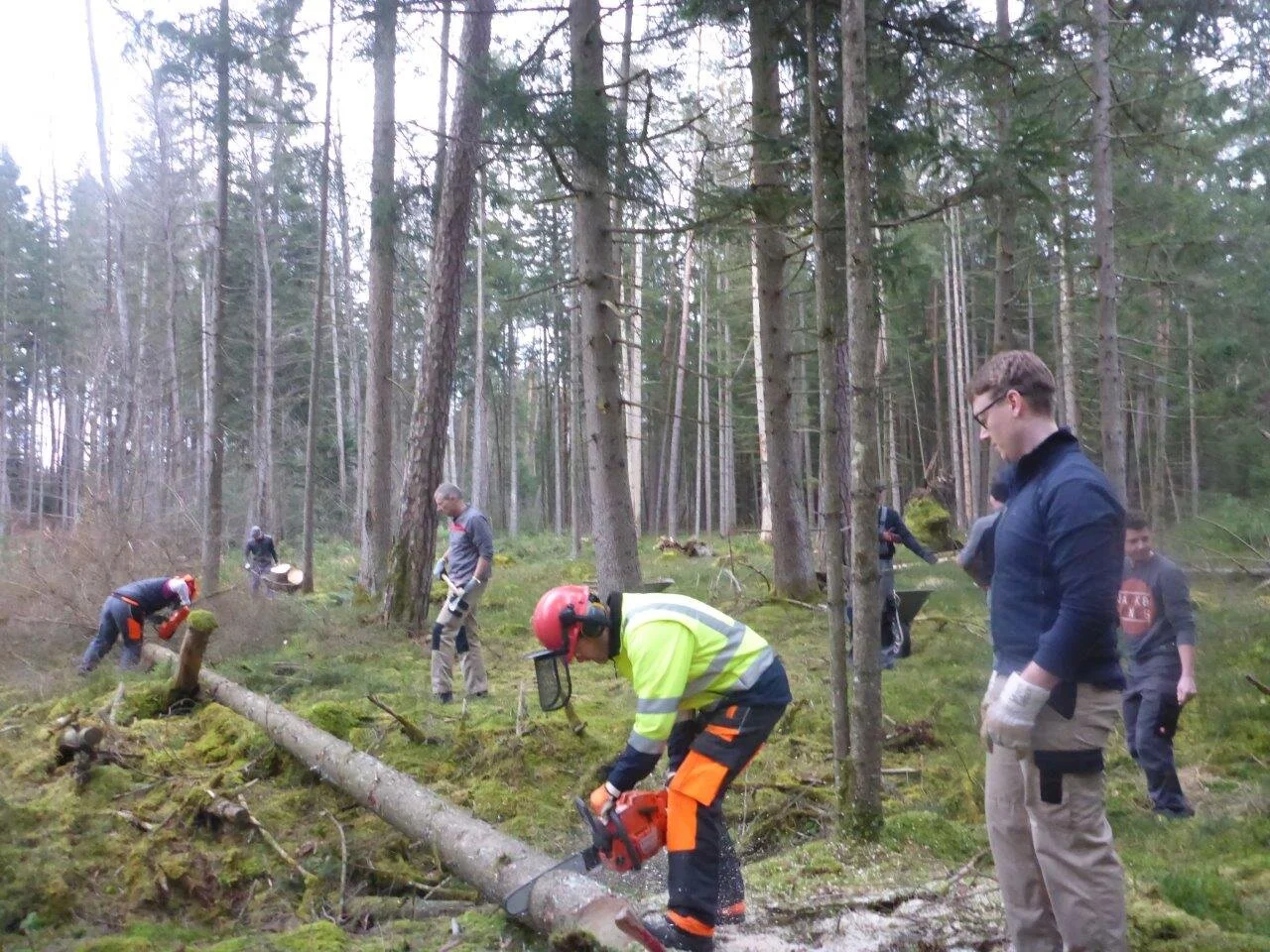Holzmachen beim Toni in der Lebenau für die Laufener Hüttn | © DAV Laufen