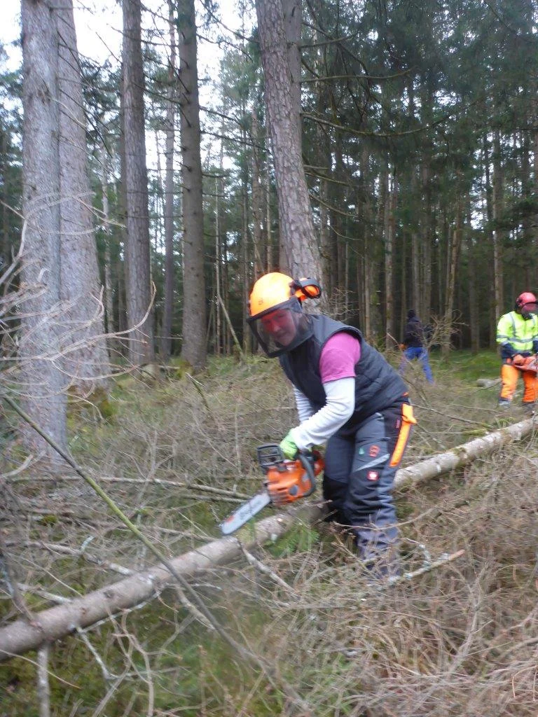 Holzmachen beim Toni in der Lebenau für die Laufener Hüttn | © DAV Laufen