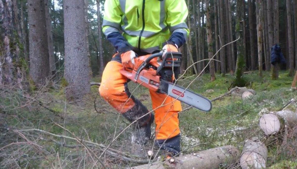 Holzmachen beim Toni in der Lebenau für die Laufener Hüttn | © DAV Laufen