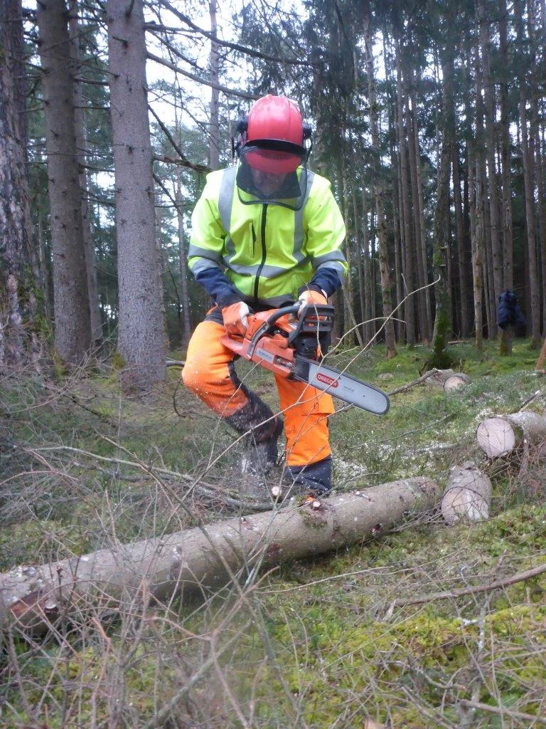 Holzmachen beim Toni in der Lebenau für die Laufener Hüttn | © DAV Laufen